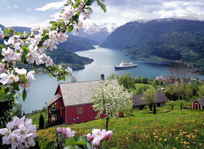 Ravensburger pussel 500 bitar - blomning i norsk fjord