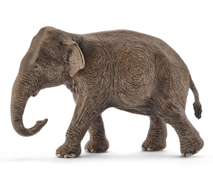 Schleich Wild Life Asiatisk Elefanthunn 14753 - figur 9 cm høy
