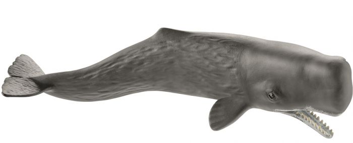 Schleich Wild Life Kaskelothval 14764 - figur 23 cm lang