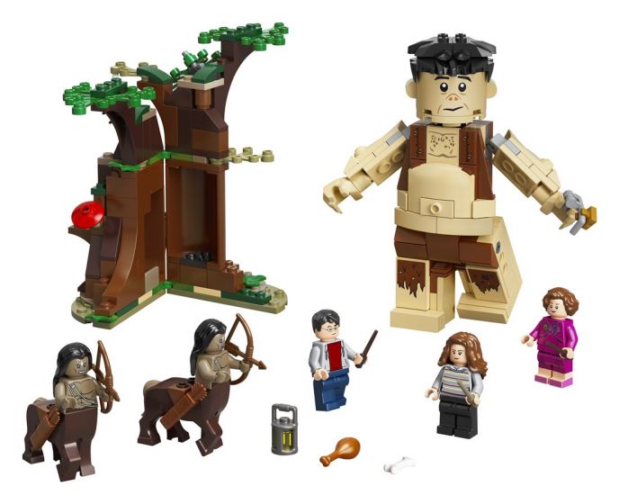 LEGO Harry Potter 75967 Den förbjudna skogen: Umbridges möte