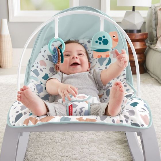 Fisher Price Deluxe Infant-to-Toddler Rocker - Babysitter