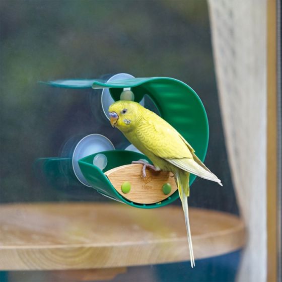 Hape Fågelmatare med sugpropp - för fönster