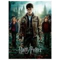 Ravensburger pussel 300 bitar - Harry Potter and the Deathly Hallows 2