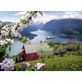 Ravensburger puslespill 500 brikker - blomstring i norsk fjord