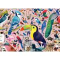 Ravensburger pussel 1000 bitar - Matt Sewell's fantastiska fåglar
