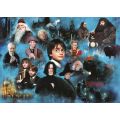 Ravensburger Harry Potter puslespill 1000 brikker - Harry Potters magiske verden