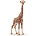 Schleich Wild Life hun giraf 14750 - figur 17 cm høj