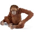 Schleich Wild Life Orangutang-hunn med bevegelig arm 14775 - figur 6 cm høy