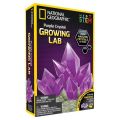 National Geographic experimentlåda - Crystal Growing lab - lila