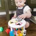 Baby Einstein Zen & Cals Playground sensorisk sorteringslegetøj med 6 former