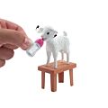 Barbie Karriärdocka – Bondgårdsveterinär med interaktivt lamm och tillbehör