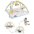 Fisher Price Simply Senses aktivitetsteppe med 6 tilbehør