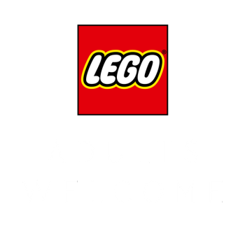 Lego adults